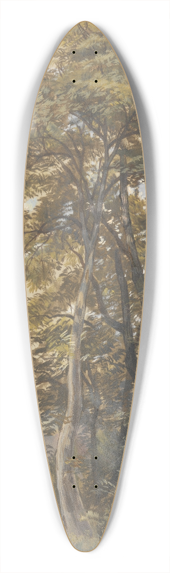 Edward Lear - Corpo di Cava, 28 June 1838 39.3 inch art pintail longboard deck