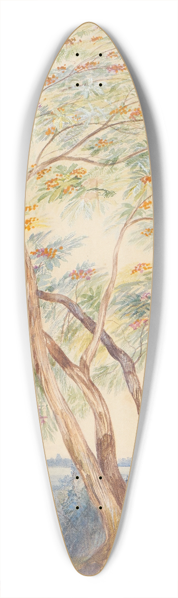 Edward Lear - Tree Study, Trichinopoly, India 39.3 inch art pintail longboard deck