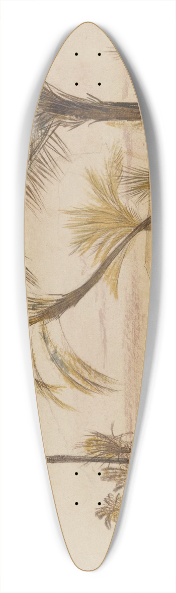 Edward Lear - Wady Halfen, Egypt 39.3 inch art pintail longboard deck
