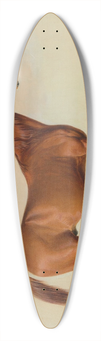 Edward Troye - American Eclipse in a Landscape 39.3 inch art pintail longboard deck