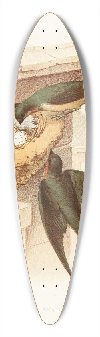 Edwin L. Sheppard - Barn Swallow 39.3 inch art pintail longboard deck
