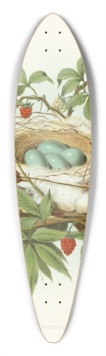 Edwin L. Sheppard - Catbird 39.3 inch art pintail longboard deck