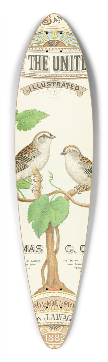 Edwin L. Sheppard - Frontispiece 39.3 inch art pintail longboard deck