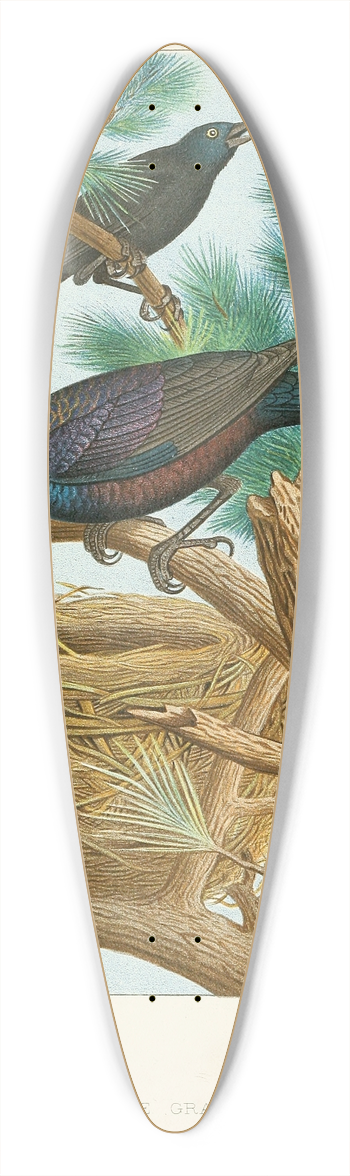 Edwin L. Sheppard - Purple Grackle 39.3 inch art pintail longboard deck