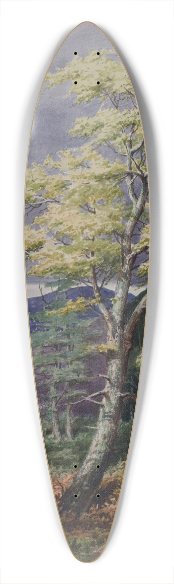 Elijah Walton - Rednal From Cofton, Man Shooting 39.3 inch art pintail longboard deck