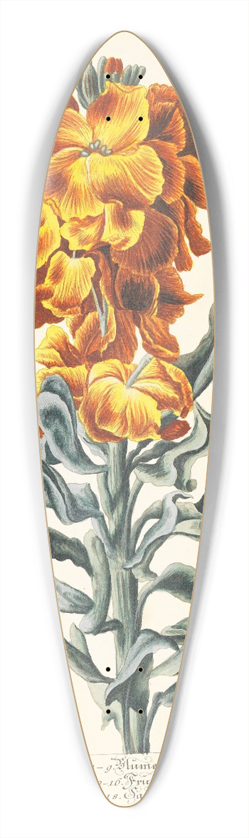 Elisabeth Blackwell - Keiri 39.3 inch art pintail longboard deck