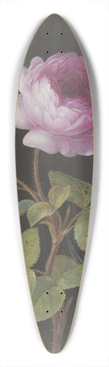 Elisabeth Christina Matthes - Rosa Rose (Rosa) mit sich einspinnender Raupe und Bluling 39.3 inch art pintail longboard deck