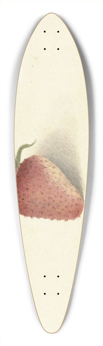 Elisabeth Geertruida van de Kasteele - Aardbei 39.3 inch art pintail longboard deck