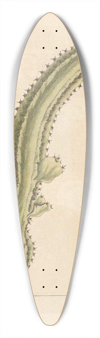 Elizabeth Blackwell - Euphorbium 39.3 inch art pintail longboard deck