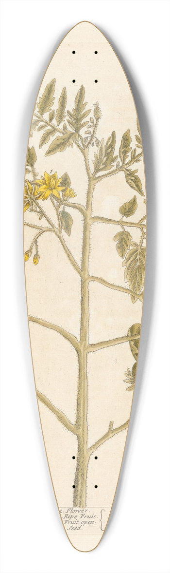 Elizabeth Blackwell - Love apple 39.3 inch art pintail longboard deck