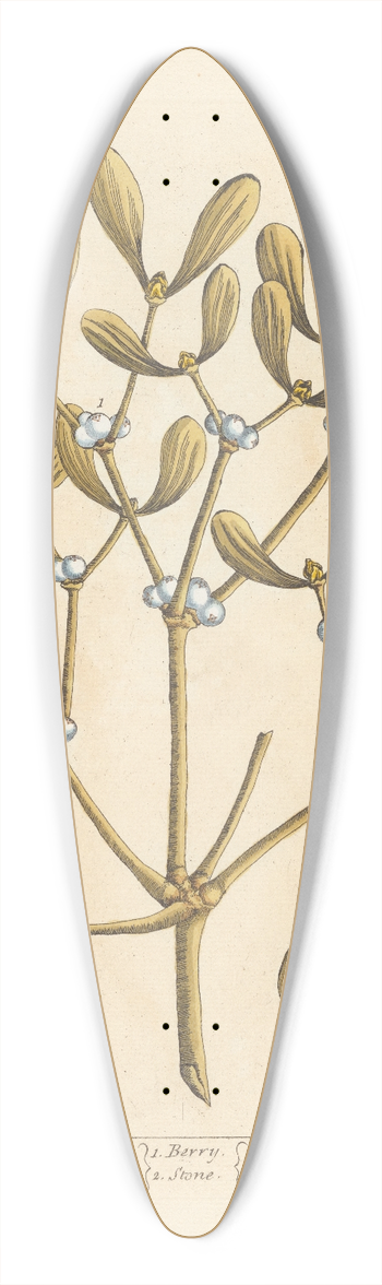 Elizabeth Blackwell - Misseltoe 39.3 inch art pintail longboard deck