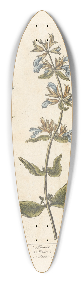 Elizabeth Blackwell - Sage 39.3 inch art pintail longboard deck
