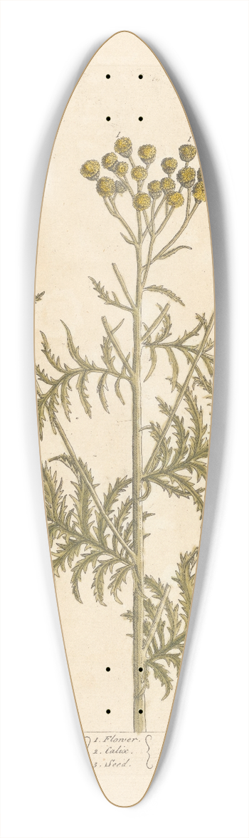 Elizabeth Blackwell - Tansie 39.3 inch art pintail longboard deck