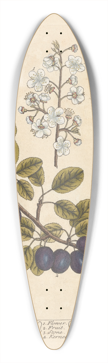 Elizabeth Blackwell - The damson tree 39.3 inch art pintail longboard deck
