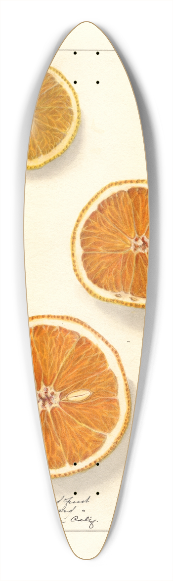 Ellen Isham Schutt - Citrus sinensis: Valencia 39.3 inch art pintail longboard deck