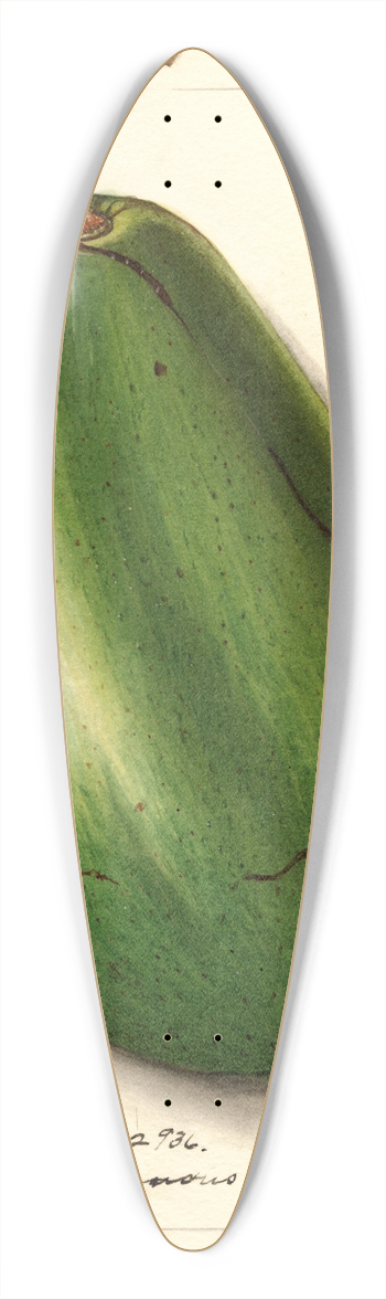 Ellen Isham Schutt - Persea: Pollock 39.3 inch art pintail longboard deck