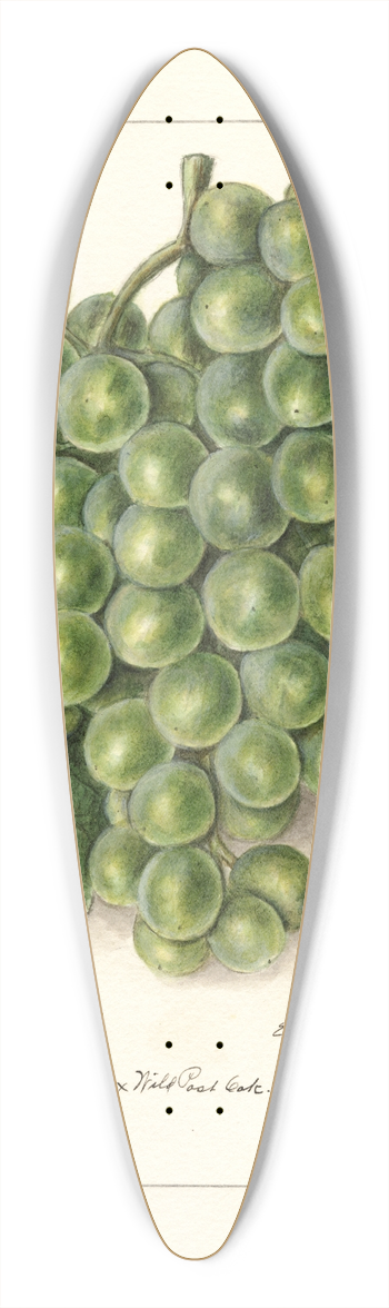 Ellen Isham Schutt - Vitis 39.3 inch art pintail longboard deck