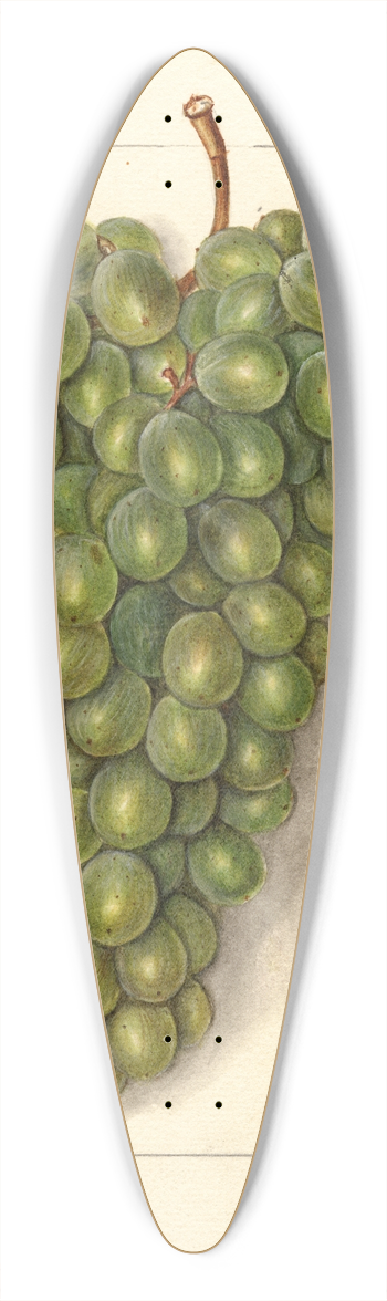 Ellen Isham Schutt - Vitis: Feher Szagos 39.3 inch art pintail longboard deck