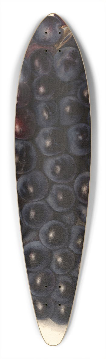Ellen Isham Schutt - Vitis: Key 39.3 inch art pintail longboard deck