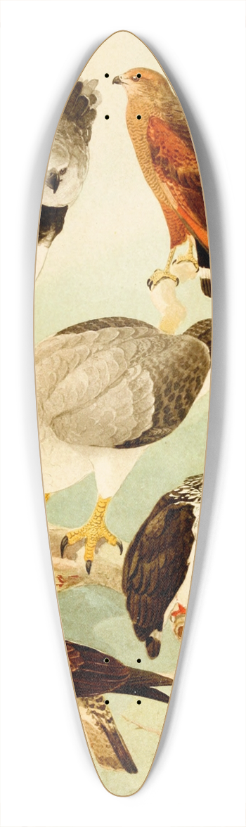Emil August Gldi - Gavies II 39.3 inch art pintail longboard deck