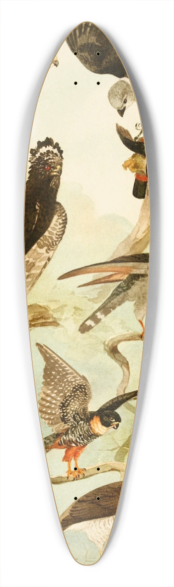 Emil August Gldi - Gavies III 39.3 inch art pintail longboard deck