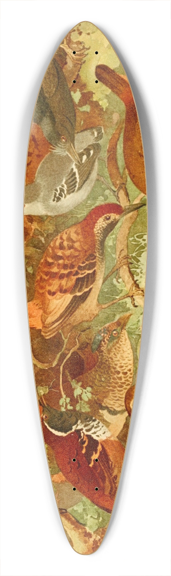 Emil August Gldi - Taiac-uir, Pinto do mato, Me da taca 39.3 inch art pintail longboard deck