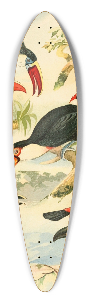 Emil August Gldi - Tucnos 39.3 inch art pintail longboard deck