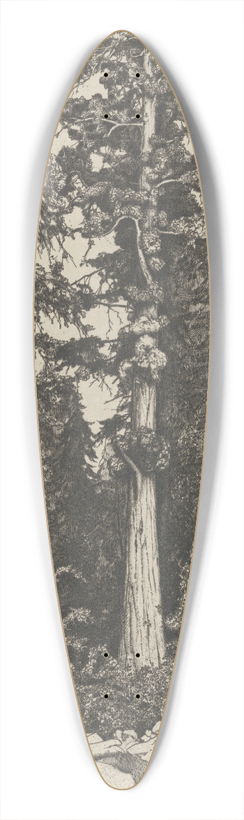 Ernest Haskell - Baby Sequoia 39.3 inch art pintail longboard deck