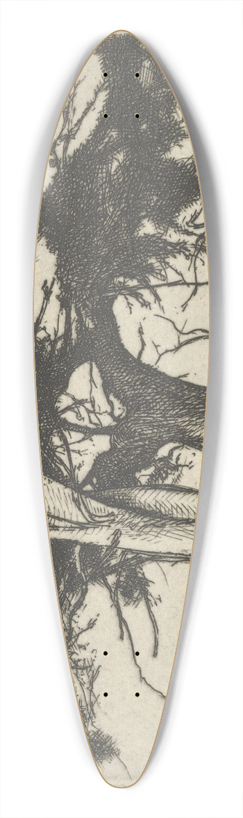 Ernest Haskell - Companions 39.3 inch art pintail longboard deck