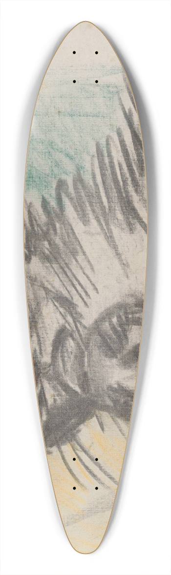 Eugeen Van Mieghem - Cat 39.3 inch art pintail longboard deck