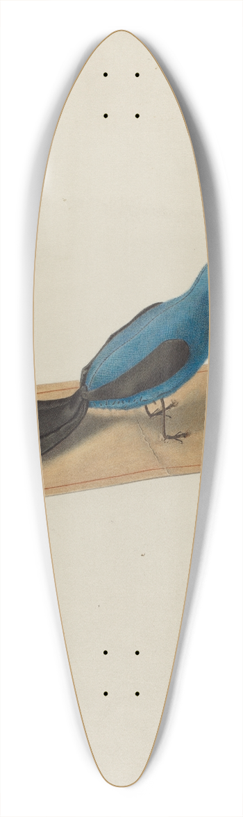 Ferdinand Badin - Pin Cushion 39.3 inch art pintail longboard deck