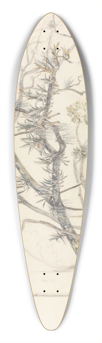 Ferdinand Keller - Aststudie mit Schlinggewchsen am Ufer des Parahyba 39.3 inch art pintail longboard deck