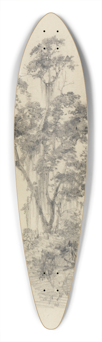Ferdinand Keller - Baumstudie im Urwald 39.3 inch art pintail longboard deck