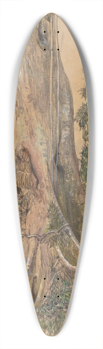 Ferdinand Keller - Figeira-Stmme am Ufer des Parahyba 39.3 inch art pintail longboard deck