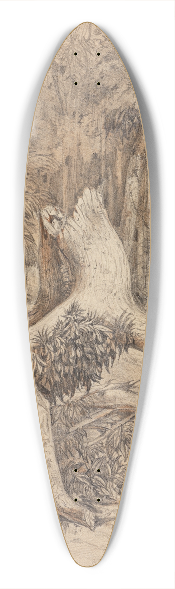 Ferdinand Keller - Jger mit Hund im Urwald 39.3 inch art pintail longboard deck