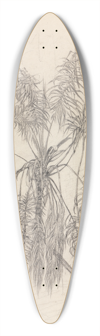 Ferdinand Keller - Palmenstudie 39.3 inch art pintail longboard deck