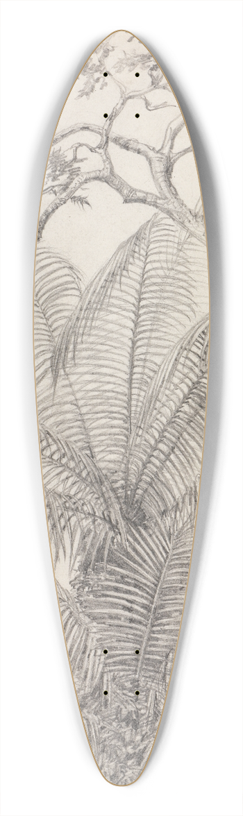Ferdinand Keller - Palmen- und Baumstudie 39.3 inch art pintail longboard deck