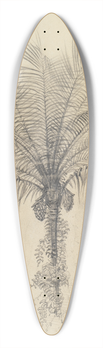 Ferdinand Keller - Palmstudie II 39.3 inch art pintail longboard deck