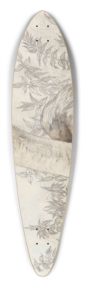 Ferdinand Keller - Studie eines Faultiers 39.3 inch art pintail longboard deck