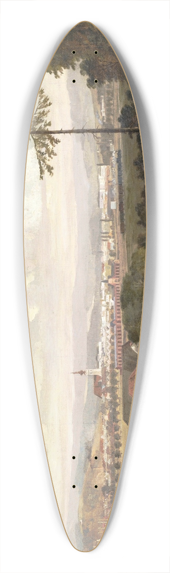 Ferdinand Lepie - Ried im Innkreis 39.3 inch art pintail longboard deck
