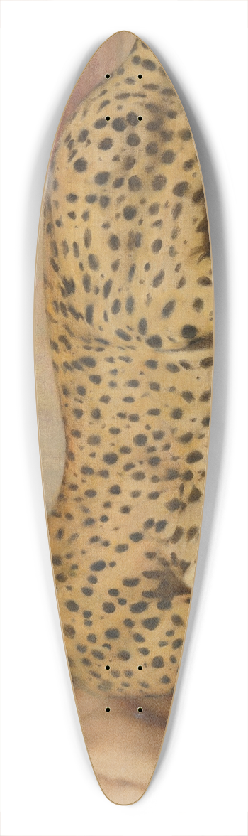 Fernand Khnopff - Caresses 39.3 inch art pintail longboard deck