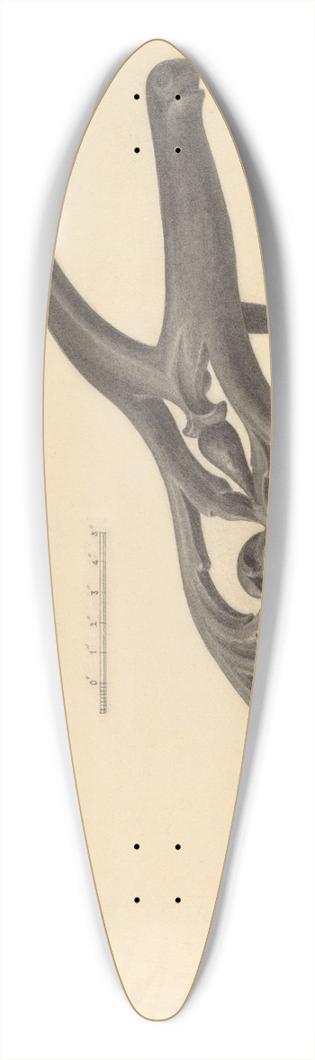 Filippo Porreca - Bootjack 39.3 inch art pintail longboard deck