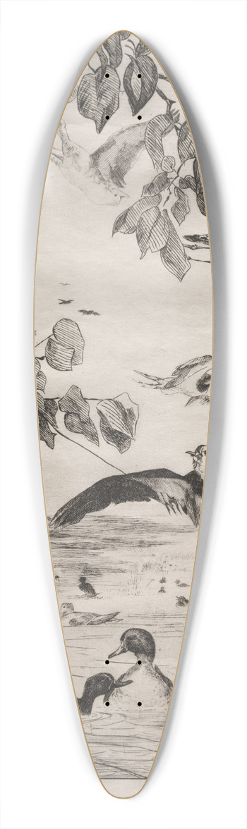 Flix Bracquemond - Lapwings and Teals 39.3 inch art pintail longboard deck