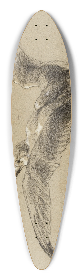 Flix Bracquemond - Mouettes 39.3 inch art pintail longboard deck