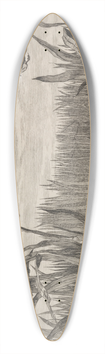 Flix Bracquemond - Teal 39.3 inch art pintail longboard deck