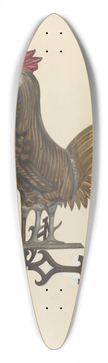 Florian Rokita - Weathercock 39.3 inch art pintail longboard deck