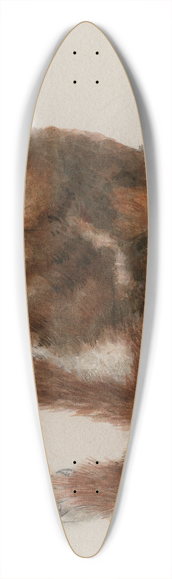 Floris Verster - Head of a cuscus 39.3 inch art pintail longboard deck