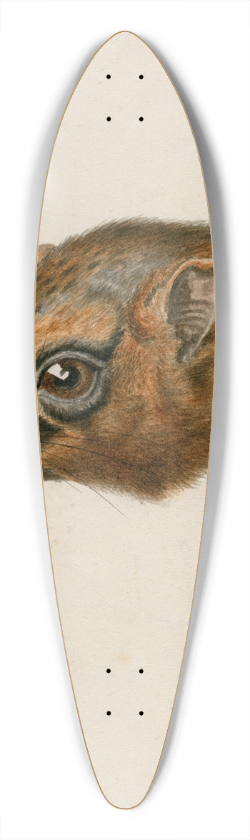 Floris Verster - Head of a polecat 39.3 inch art pintail longboard deck