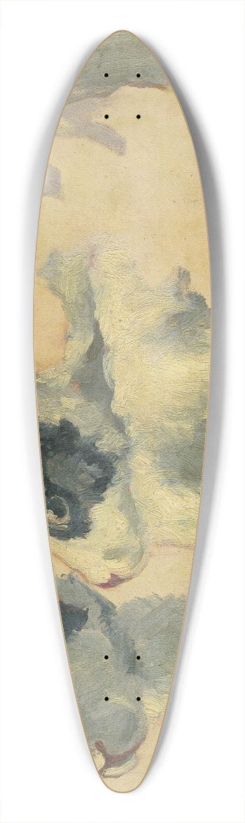 Floris Verster - Rabbits 39.3 inch art pintail longboard deck