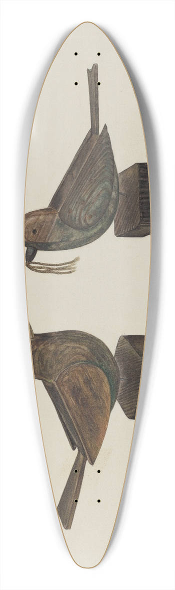 Frank Budash - Toy Birds 39.3 inch art pintail longboard deck